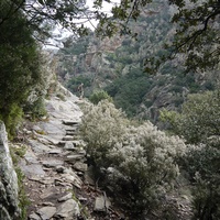 Photo de france - La randonnée du Mont Caroux